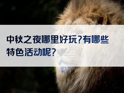 中秋之夜哪里好玩？有哪些特色活动呢？