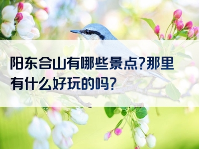 阳东合山有哪些景点？那里有什么好玩的吗？