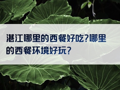 湛江哪里的西餐好吃？哪里的西餐环境好玩？