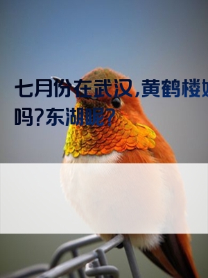 七月份在武汉，黄鹤楼好玩吗？东湖呢？
