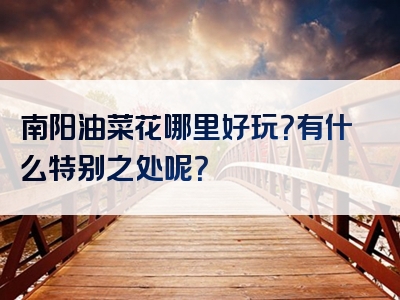南阳油菜花哪里好玩？有什么特别之处呢？