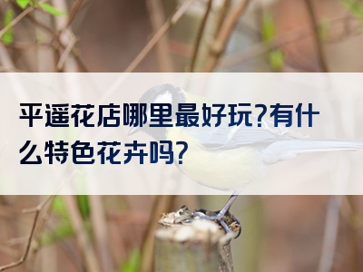 平遥花店哪里最好玩？有什么特色花卉吗？