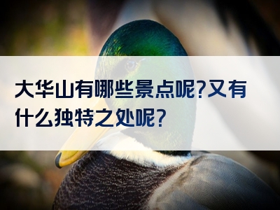 大华山有哪些景点呢？又有什么独特之处呢？