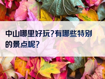 中山哪里好玩？有哪些特别的景点呢？