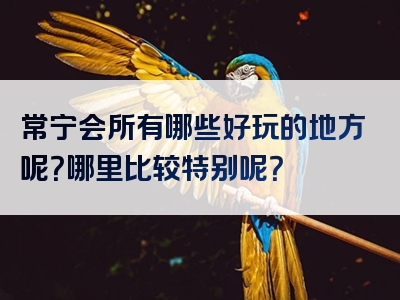 常宁会所有哪些好玩的地方呢？哪里比较特别呢？