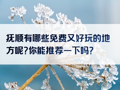 抚顺有哪些免费又好玩的地方呢？你能推荐一下吗？