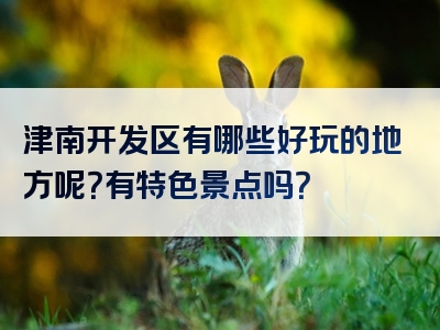 津南开发区有哪些好玩的地方呢？有特色景点吗？