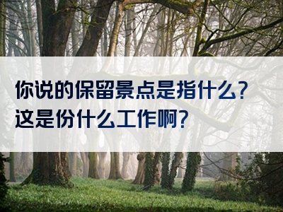 你说的保留景点是指什么？这是份什么工作啊？