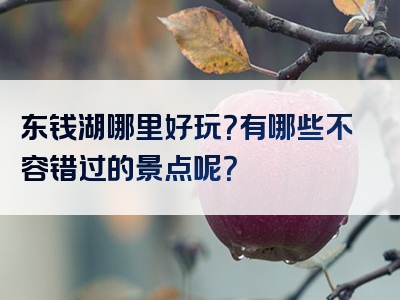 东钱湖哪里好玩？有哪些不容错过的景点呢？