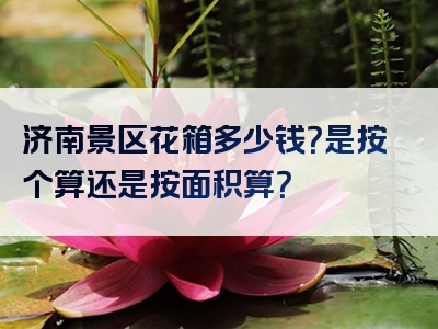 济南景区花箱多少钱？是按个算还是按面积算？