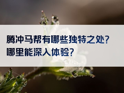 腾冲马帮有哪些独特之处？哪里能深入体验？