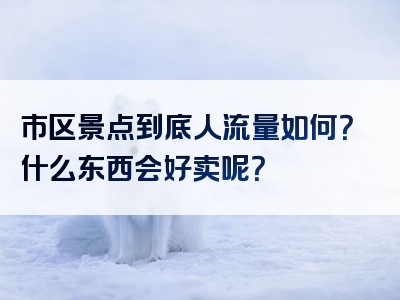 市区景点到底人流量如何？什么东西会好卖呢？