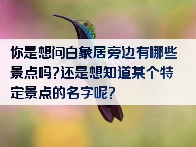 你是想问白象居旁边有哪些景点吗？还是想知道某个特定景点的名字呢？