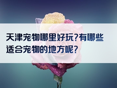 天津宠物哪里好玩？有哪些适合宠物的地方呢？