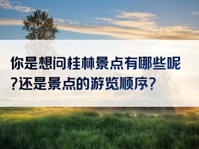 你是想问桂林景点有哪些呢?还是景点的游览顺序?