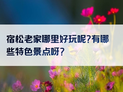 宿松老家哪里好玩呢？有哪些特色景点呀？