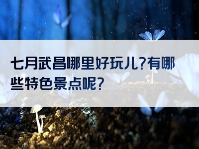 七月武昌哪里好玩儿？有哪些特色景点呢？
