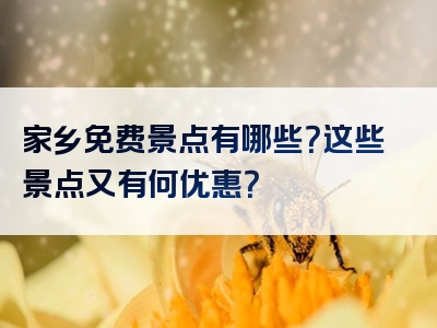家乡免费景点有哪些？这些景点又有何优惠？