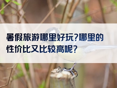 暑假旅游哪里好玩？哪里的性价比又比较高呢？