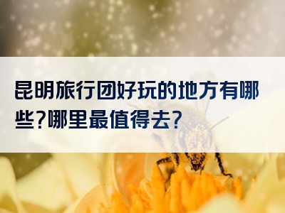 昆明旅行团好玩的地方有哪些？哪里最值得去？