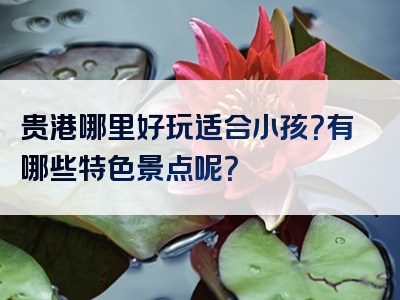 贵港哪里好玩适合小孩？有哪些特色景点呢？