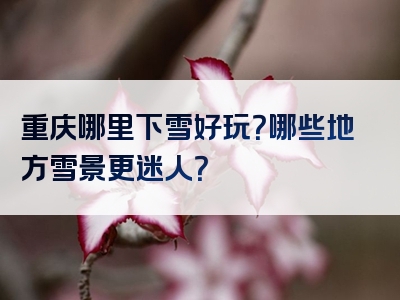 重庆哪里下雪好玩？哪些地方雪景更迷人？