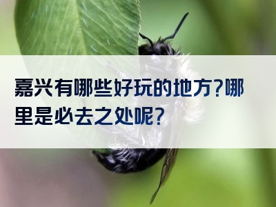 嘉兴有哪些好玩的地方？哪里是必去之处呢？