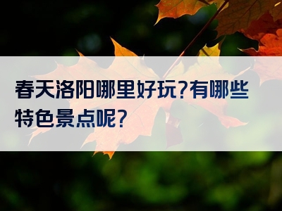 春天洛阳哪里好玩？有哪些特色景点呢？