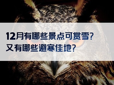 12月有哪些景点可赏雪？又有哪些避寒佳地？