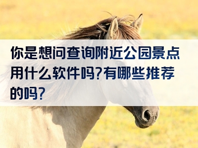 你是想问查询附近公园景点用什么软件吗？有哪些推荐的吗？