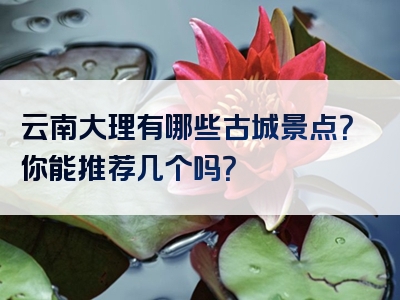 云南大理有哪些古城景点？你能推荐几个吗？