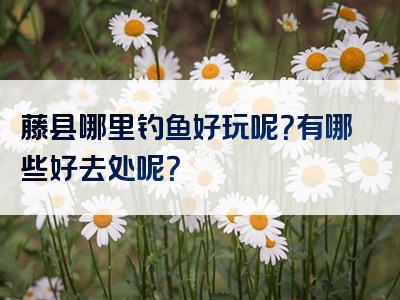 藤县哪里钓鱼好玩呢？有哪些好去处呢？