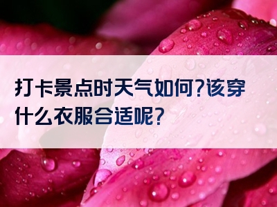 打卡景点时天气如何？该穿什么衣服合适呢？