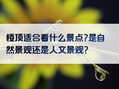 楼顶适合看什么景点？是自然景观还是人文景观？