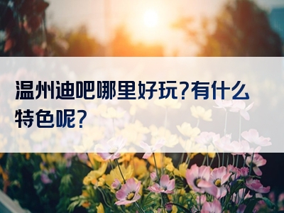 温州迪吧哪里好玩？有什么特色呢？