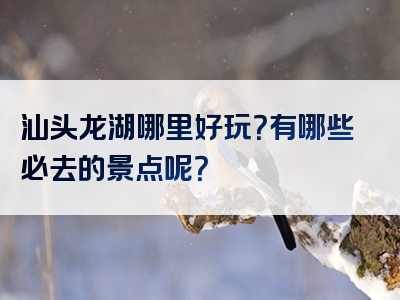 汕头龙湖哪里好玩？有哪些必去的景点呢？