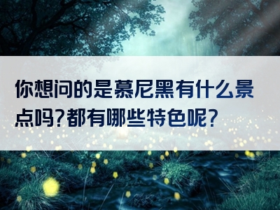 你想问的是慕尼黑有什么景点吗？都有哪些特色呢？