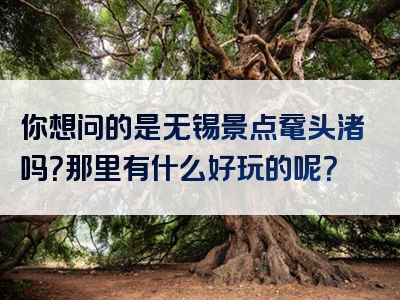 你想问的是无锡景点鼋头渚吗？那里有什么好玩的呢？