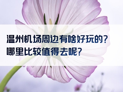 温州机场周边有啥好玩的？哪里比较值得去呢？