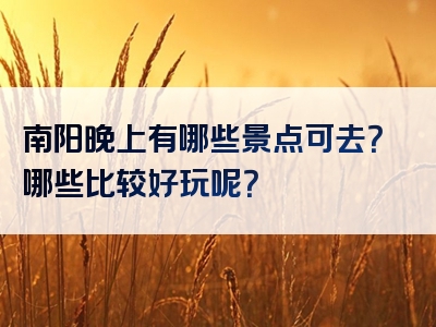 南阳晚上有哪些景点可去？哪些比较好玩呢？