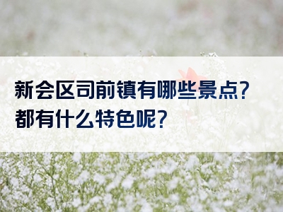新会区司前镇有哪些景点？都有什么特色呢？