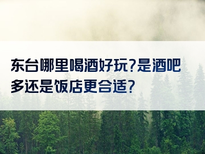 东台哪里喝酒好玩？是酒吧多还是饭店更合适？