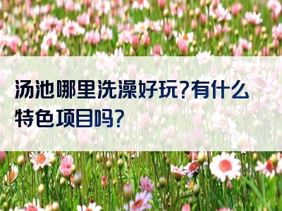 汤池哪里洗澡好玩？有什么特色项目吗？