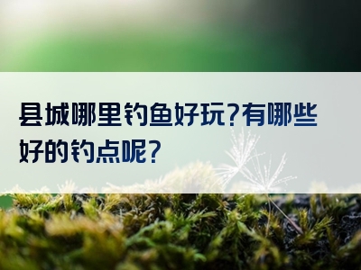 县城哪里钓鱼好玩？有哪些好的钓点呢？