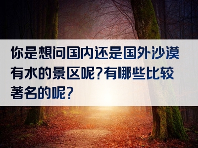你是想问国内还是国外沙漠有水的景区呢？有哪些比较著名的呢？