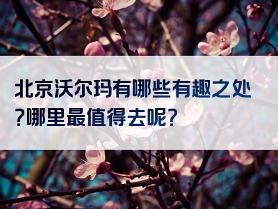 北京沃尔玛有哪些有趣之处？哪里最值得去呢？