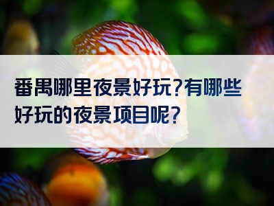 番禺哪里夜景好玩？有哪些好玩的夜景项目呢？