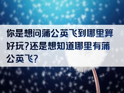 你是想问蒲公英飞到哪里算好玩？还是想知道哪里有蒲公英飞？