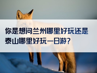 你是想问兰州哪里好玩还是泰山哪里好玩一日游？