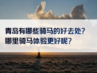 青岛有哪些骑马的好去处？哪里骑马体验更好呢？